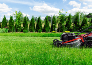 Lawn Care Maintenance