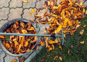 Spring & Fall Cleanup